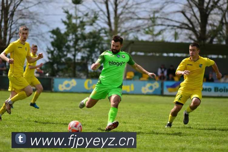 博鱼首页官网发展历程